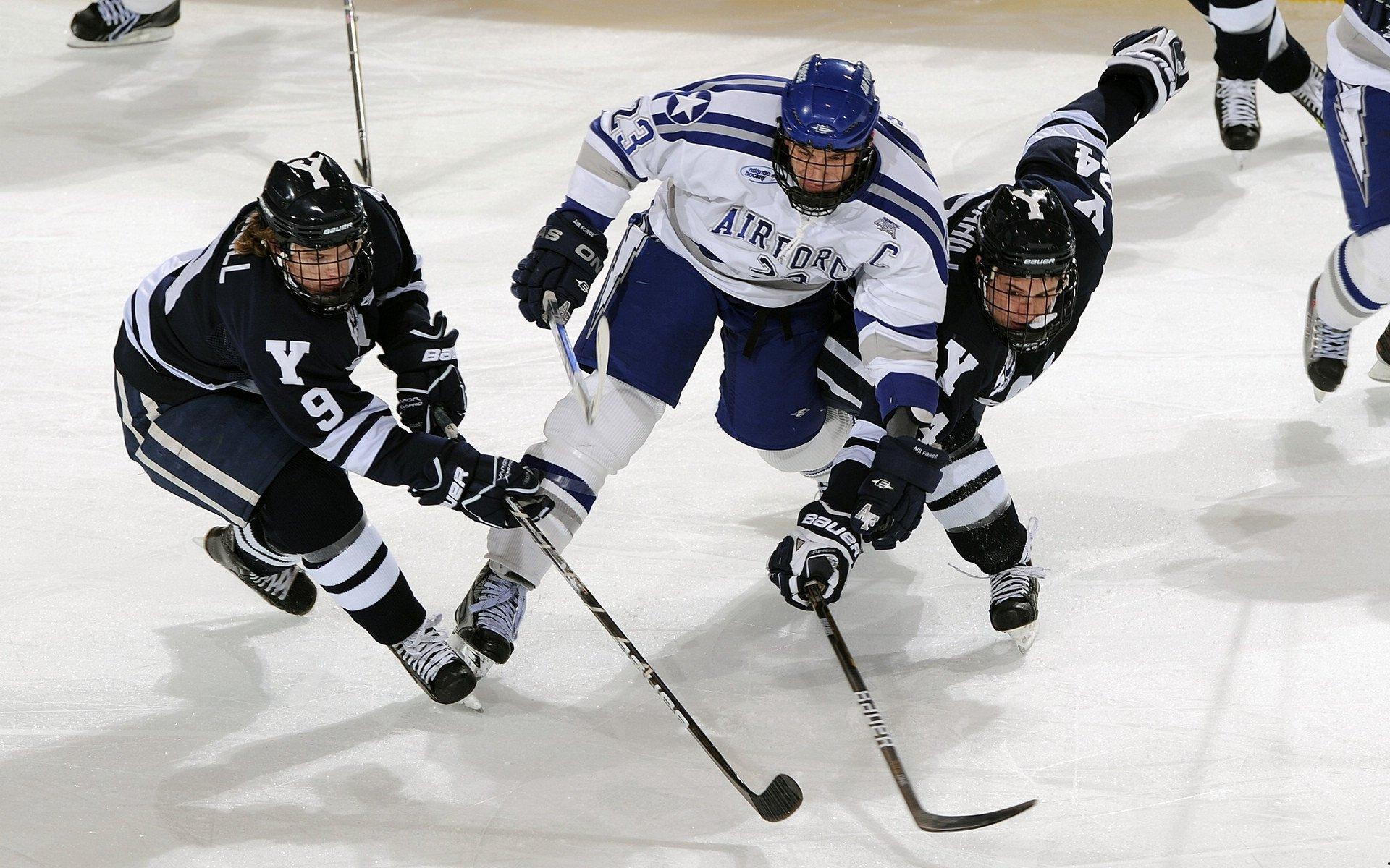从伤病到重生，运动员康复之路的艰辛与希望