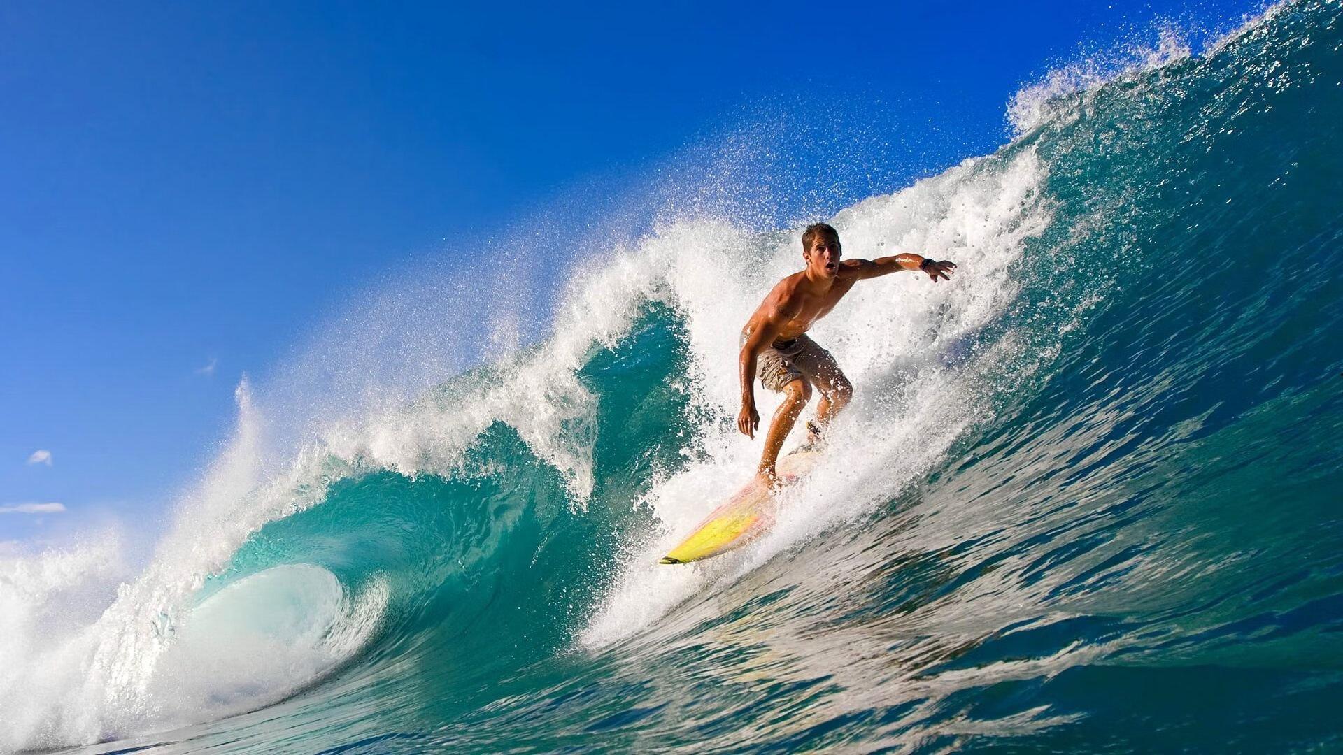 德甲联赛激战正酣，拜仁慕尼黑与多特蒙德上演巅峰对决