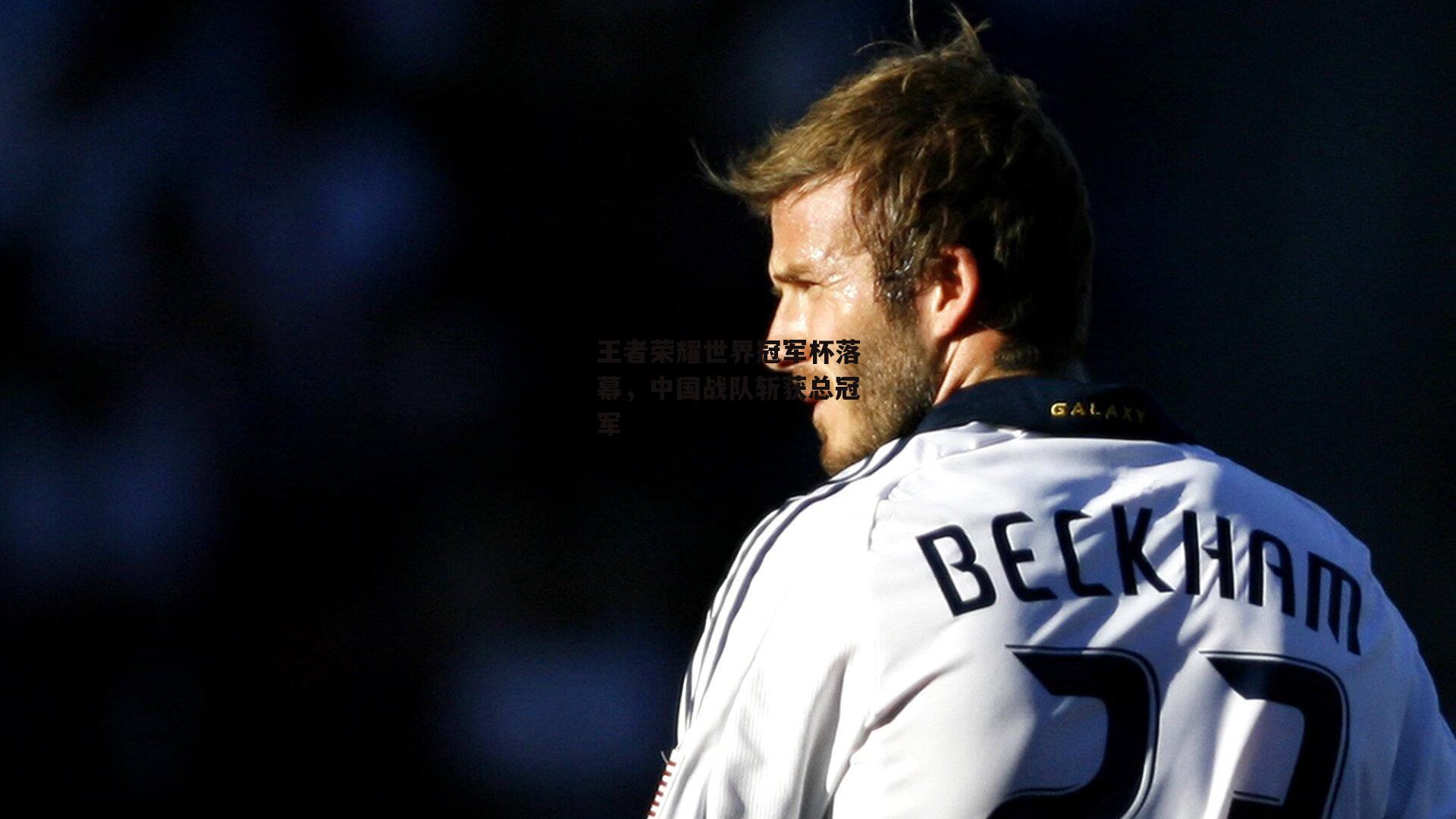 王者荣耀世界冠军杯落幕，中国战队斩获总冠军