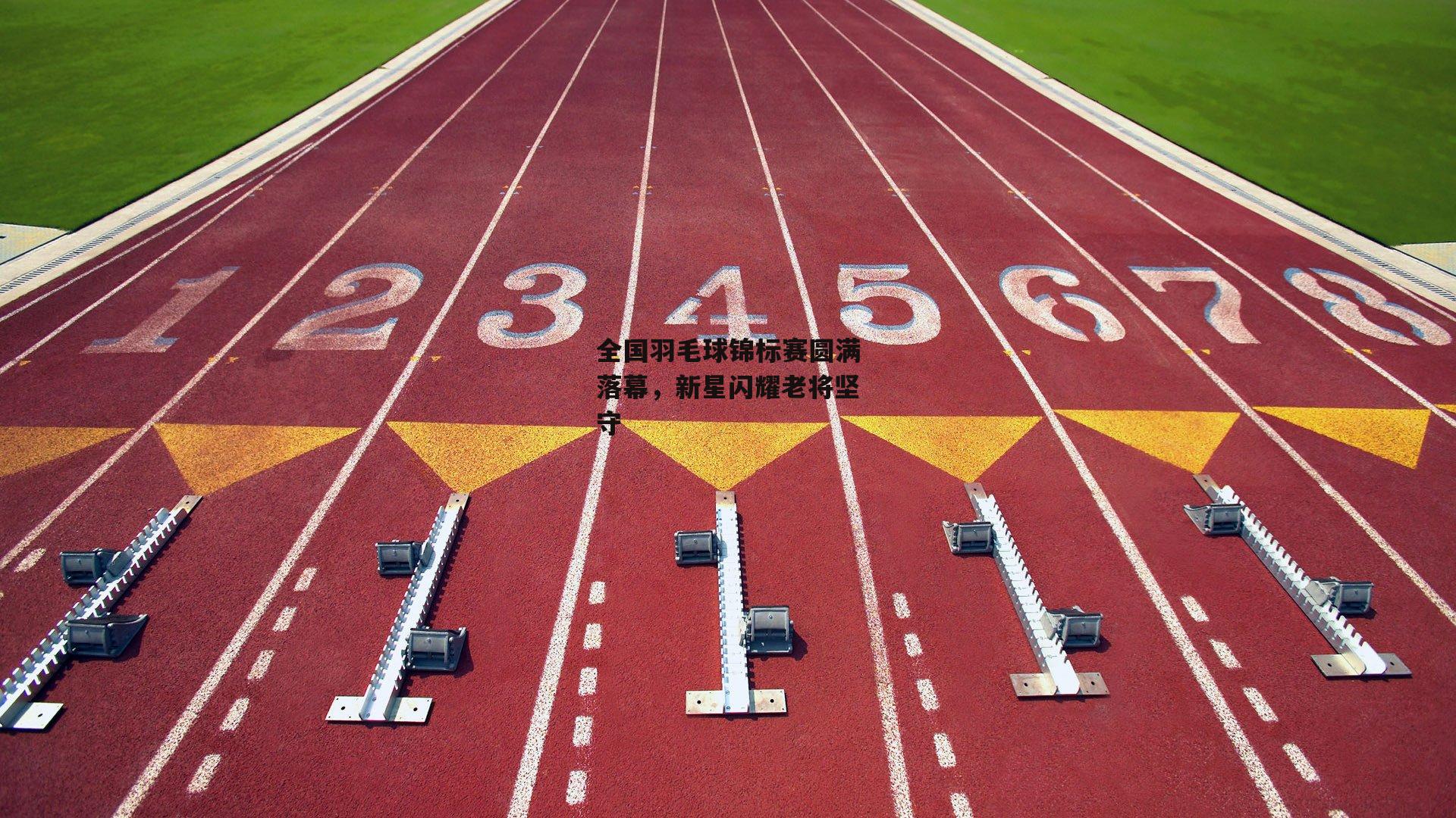 全国羽毛球锦标赛圆满落幕，新星闪耀老将坚守