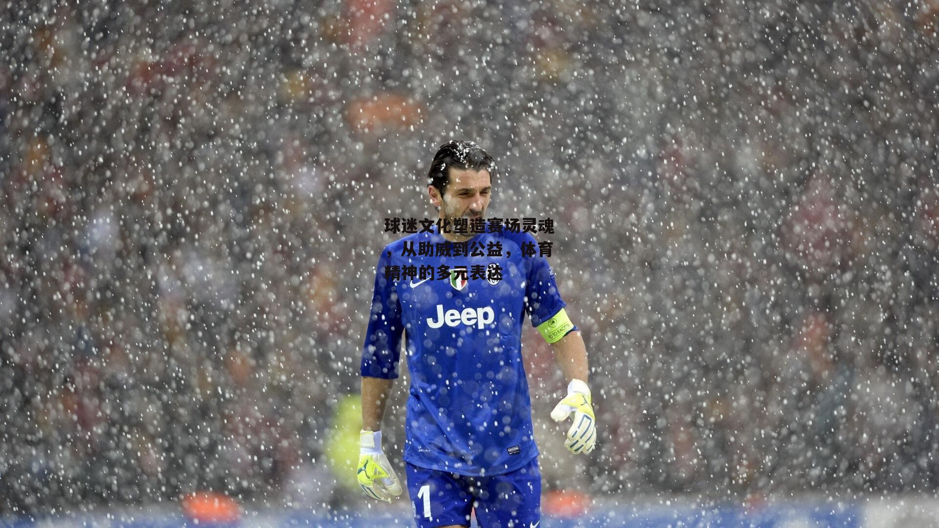 球迷文化塑造赛场灵魂，从助威到公益，体育精神的多元表达