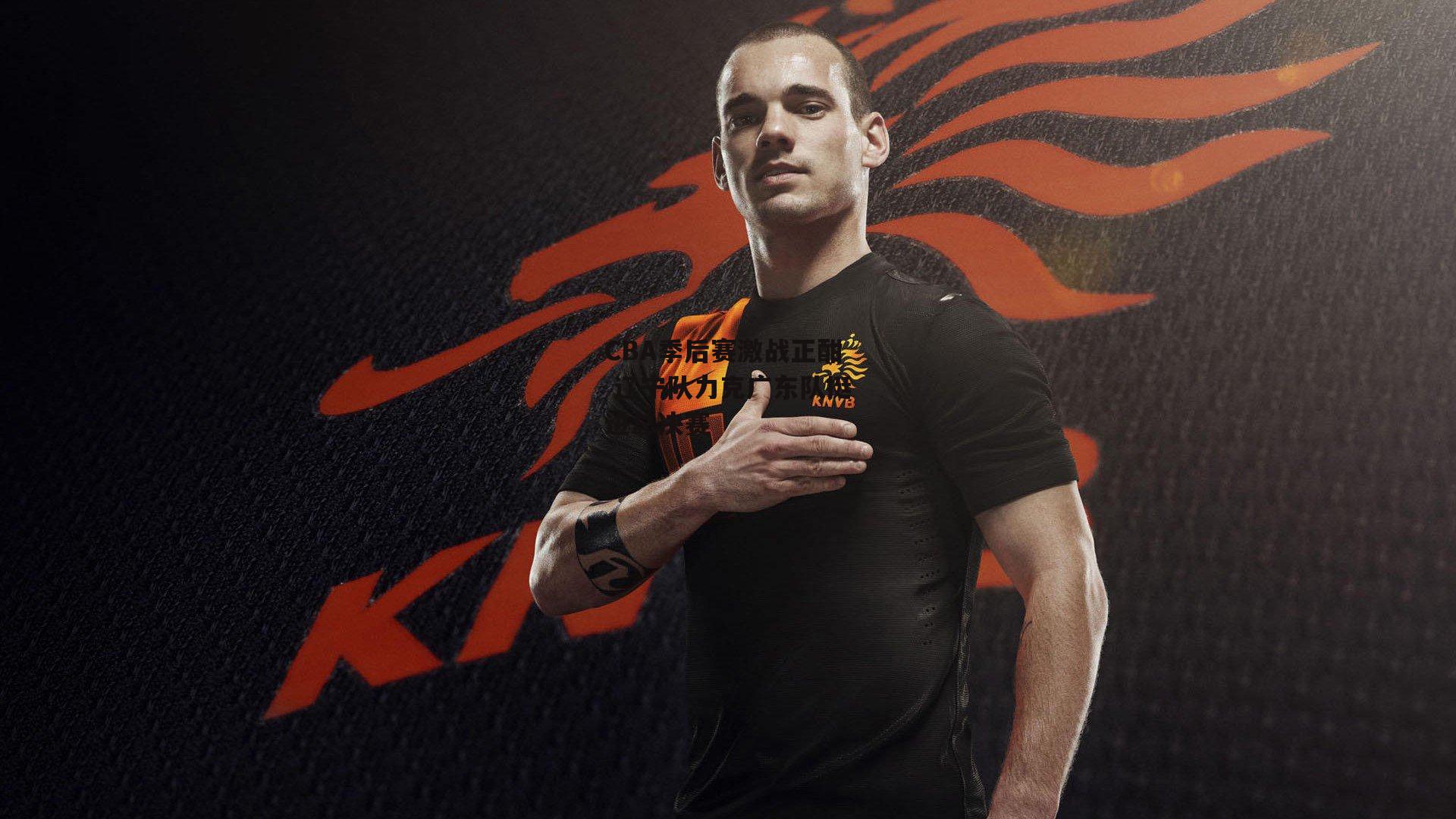 CBA季后赛激战正酣 辽宁队力克广东队挺进总决赛