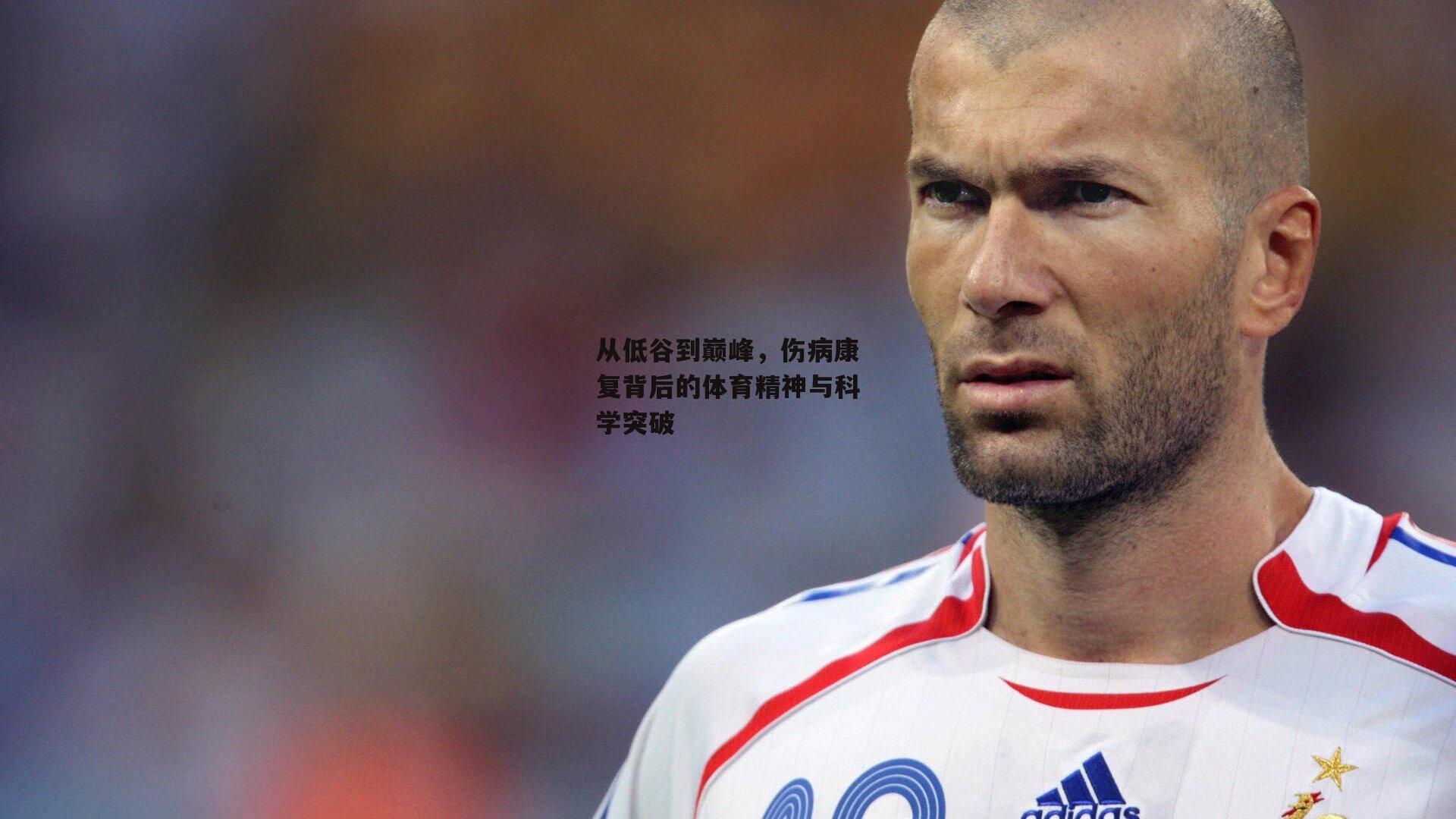 从低谷到巅峰,伤病康复背后的体育精神与科学突破